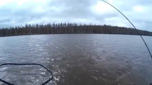 Ловля щуки на раттлины: просто и эффективно