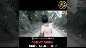 Испытание от Аллаха!Почему Аллах испытывает нас?