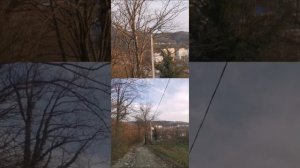 #walkin and listening  _ Deep Morning Chill Music Mix. Have a nice day. #mountain #forest #music