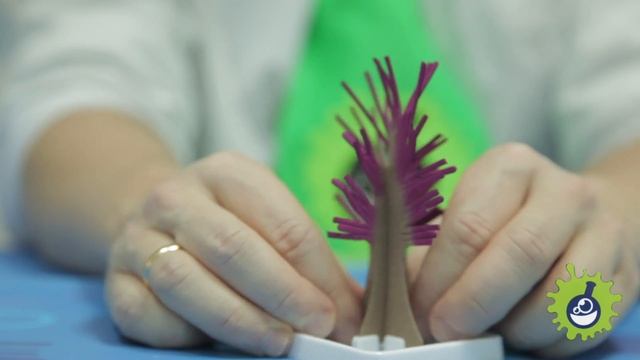 Волшебное дерево и кролик. Кристаллы вырастают на глазах! смотреть онлайн