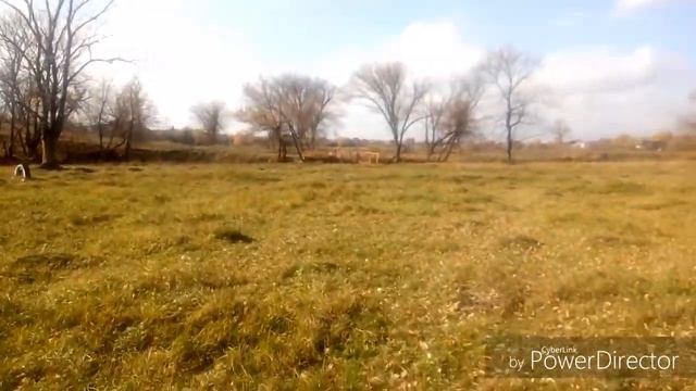 Осенний денек/ Вышло солнышко/ СЕМЬЯ смотреть онлайн