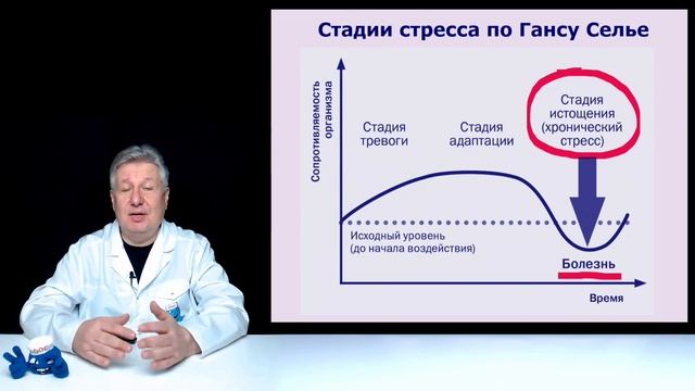 Тайны когнитивных функций. Что мешает учиться?