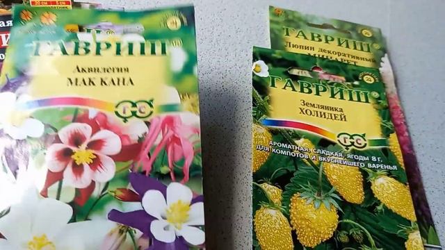 Цветы на рассаду- результат. Многолетники которые можно посеять в июле. смотреть онлайн