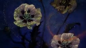 М/ф Чайковский Танец Феи Драже.avi