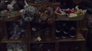 Buttonwood Park Zoo - Gift Shop