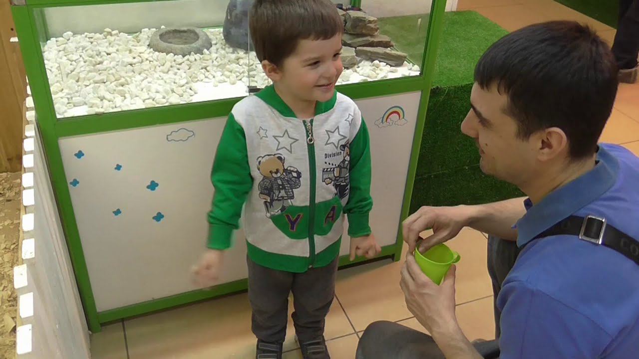 #5 Воспоминания. Зоопарк "Лямурчик". ТРК Горки. Челябинск 2019. смотреть онлайн