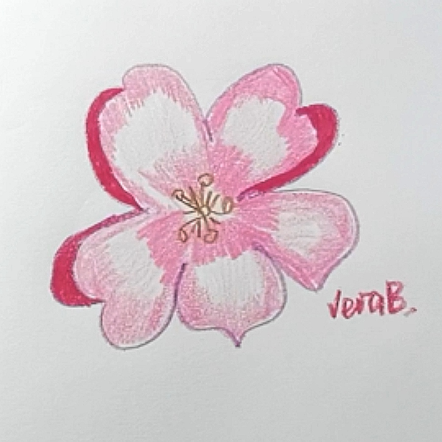 Рисунок цветка цветными карандашами