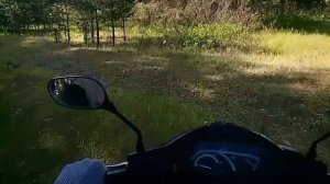 Катаюсь по лесу на скутере Sym Orbit 50 (65cc)