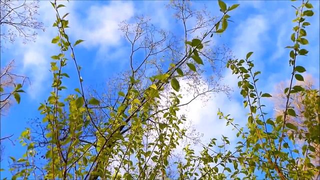 Судьба - ну чем вам не круиз? смотреть онлайн