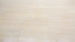 Инновационная швабра с отжимом и ведром для мытья пола Forensis X12 PRO