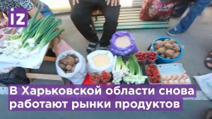В освобожденных городах Харьковской области начинают работать центральные рынки / Известия