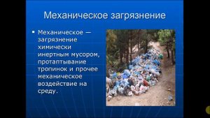 Загрязнение окружающей среды. ОБЖ 9 класс.