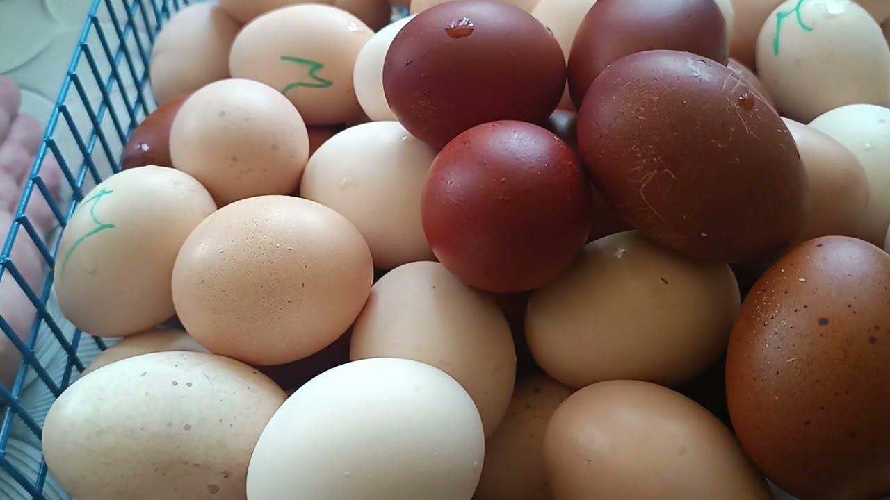 26 июля 2024 г. смотреть онлайн