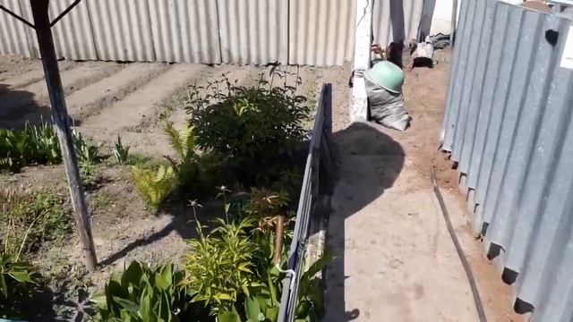 Готовим очень простой, вкусный салат с куриной грудкой и кукурузой! смотреть онлайн