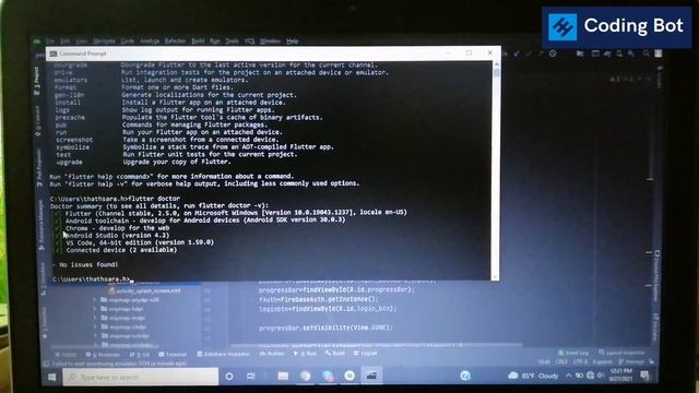 How to download and install flutter in windows | Run your first flutter application |  Flutter dev
