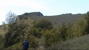 Мордвиновская дорога