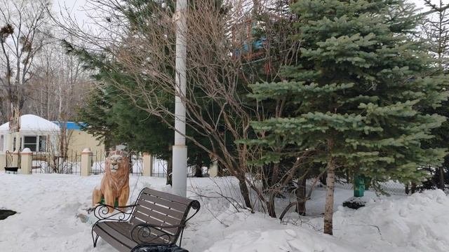 190. г. Хабаровск. Заимка Плюснина. 06.12.23.