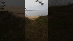 Обзор домиков на Волге на базе Юркинский мыс май 2019