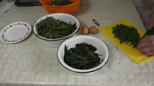 салат из листьев одуванчика,крапивы, сныти и др