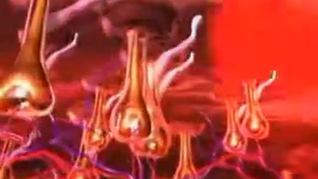 Prikaz rada Soprano XL uređaja (eng) смотреть онлайн