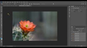 How to Do Focus Stacking in Photoshop - Photoshop Tutorial