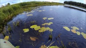 Рыбалка в Калининграде и области //// славский район