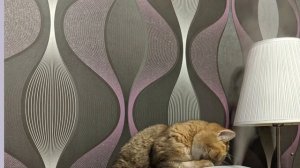 Увлажнитель воздуха Polaris PUH 0427 TF