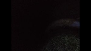 Рефтинское водохранилище ноябрь 2020