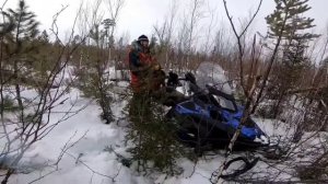 BRP Lynx Yeti69 600асе вытаскиваем лебедкой Freeride800 Adventure GT1200 - часть 2