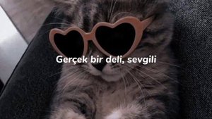 Habibi-speed up + türkçe ceviri ~shine lyrics