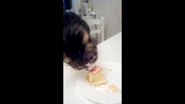 Дом 3 Эти глаза напротив (День 2) смотреть онлайн