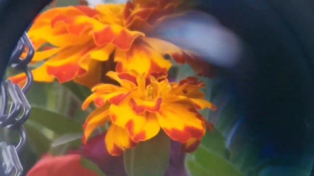 Testing 4mm To 6mm Telescope Eyepieces смотреть онлайн