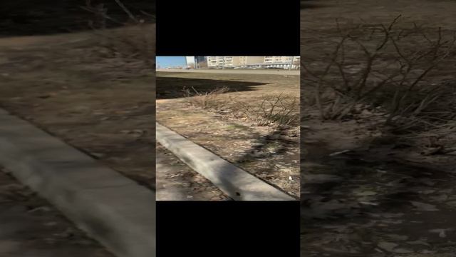 Медкомиссия