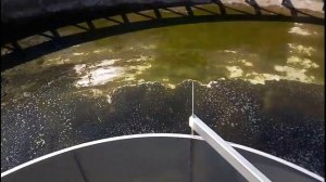 Реконструкция вторичного отстойника Ø 40м