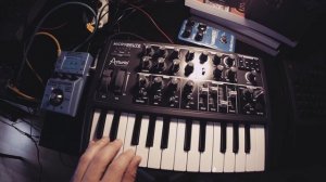 Patch 04062016 // Arturia MicroBrute encountering the Zoom MS-70CDR