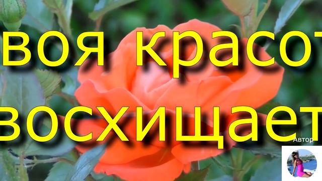 Видеооткрытка с 8 марта | КРАСИВАЯ ОТКРЫТКА с 8 марта ЖЕНЩИНЫ КОРОЛЕВЫ |Вдохновляющие слова КОРОЛЕВ