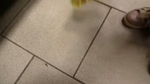 Мимимишки Новые серии ПРИВИДЕНИЕ Развивающее видео для детей Video for funny kids