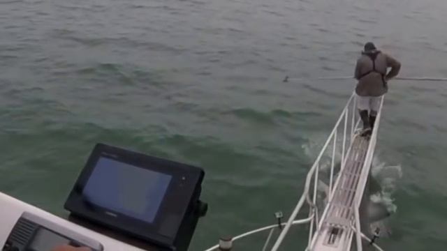 10 неожиданных моментов снятых на камеру смотреть онлайн