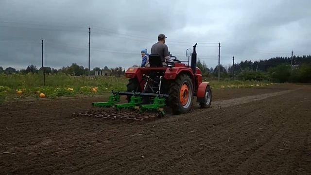 Боронование поля. Посев овса после уборки картофеля.