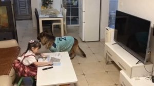 Всем бы такого друга в детстве.