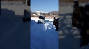 Toyota voxy 2010 проходимость