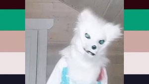 я выбираю феминизм - speed up