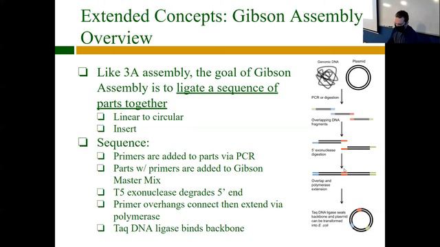 MST iGEM [14] - Gibson Assembly смотреть онлайн