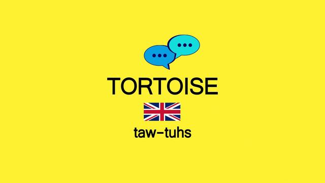 How to Pronounce TORTOISE in American English and British English