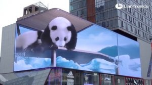 3D реклама  Китай ( С пандами)