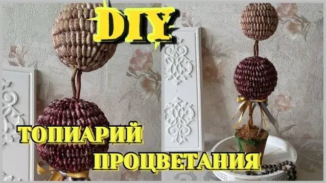 Топиарий из бобовых своими руками. Талисман процветания._ DIY смотреть онлайн