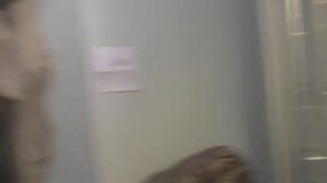 Музей Природы в Екатеринбурге - Видеообзор