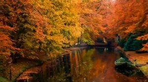 Эдуард Асадов Не привыкайте никогда к любви