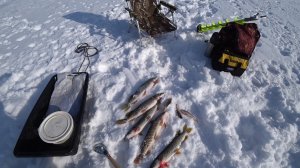 Поймал отпустил..mp4