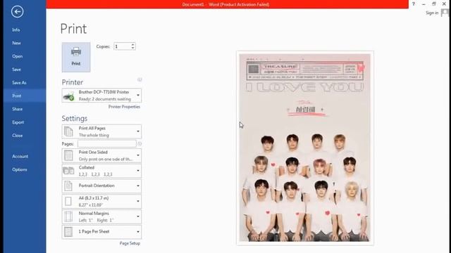 HOW TO PRINT A4 SIZE PHOTO USING MS WORD смотреть онлайн
